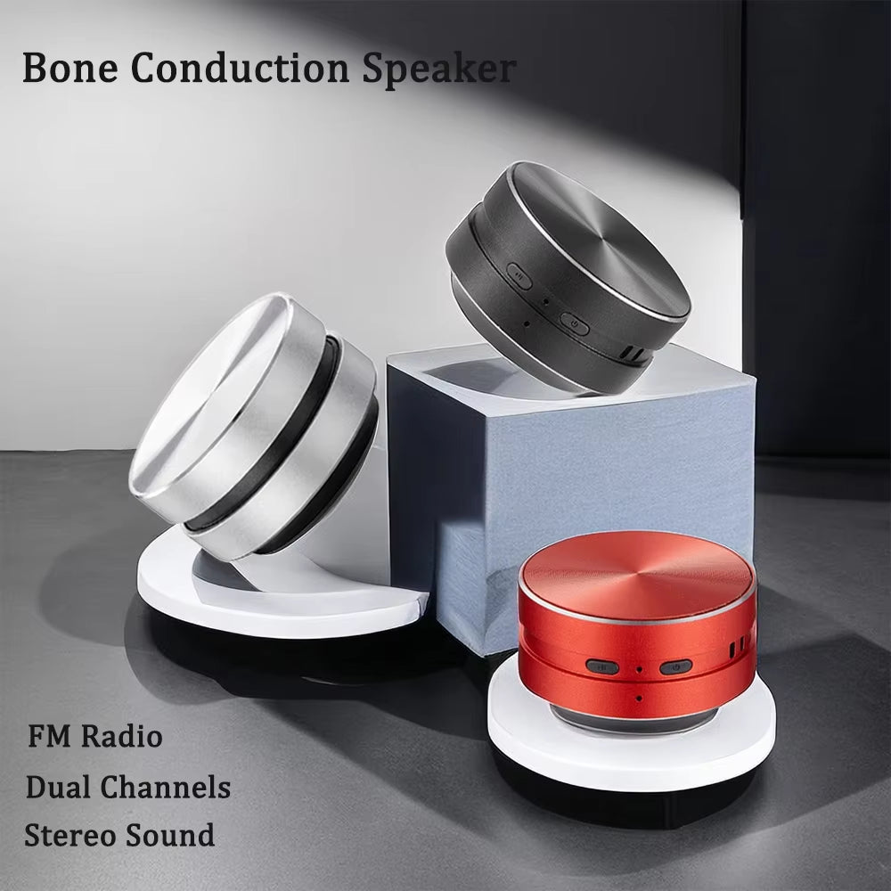 Mini Hummingbird Bone Conduction Speaker Bluetooth-Compatible TWS Wireless Stereo Dual Sound Audio Box Speakers with FM Radio